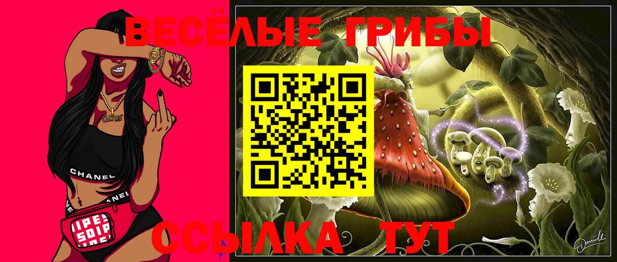 Майкоп  Галлюциногенные грибы прущие грибы  Вход с VPN 